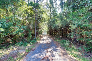 40310 Three Forks Rd, Magnolia, TX 77354 - photo 2