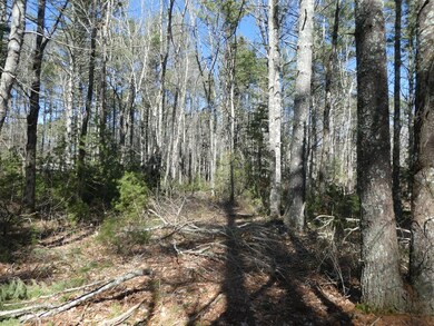 1 Walnut Plain Rd, Rochester, MA 02770 - photo 2