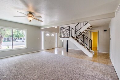 Bright Open Front Room