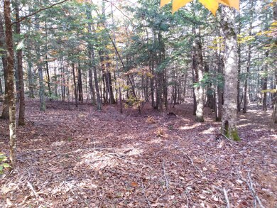 21-8 Raven Ln, Fryeburg, ME 04037 - photo 7