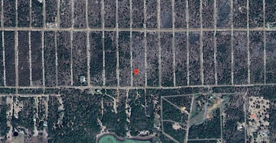 108 Kentucky Ave, Hawthorne, FL 32640 - photo 2