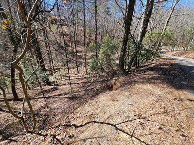 0 Etowah Dr unit 413890, Ellijay, GA 30540 - photo 7