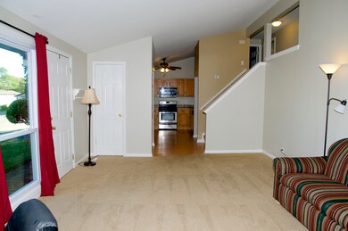 1711 Queens Ct, Carpentersville, IL 60110 - photo 7