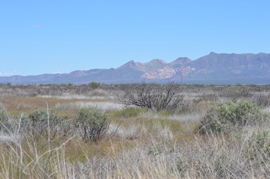 View north to property