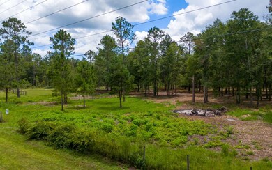 0 Lot 12 167th Rd unit 127741, Live Oak, FL 32060 - photo 3