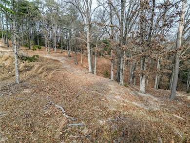 Lot 9 Blisslake Ln, Rogers, AR 72756 - photo 6