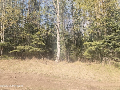 L11 MacKey Lake Rd, Soldotna, AK 99669 - photo 5