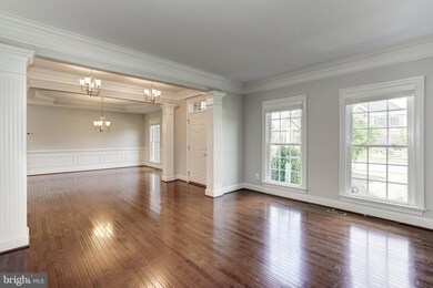 41638 Revival Dr, Ashburn, VA 20148 - photo 4