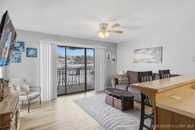 1542 Harbor Point unit 201, Osage Beach, MO 65065 - photo 6