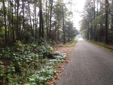 0 Williams Rd, Slidell, LA 70460 - photo 4