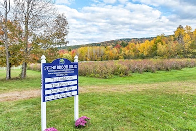 47 Homestead Dr, Gilford, NH 03249 - photo 6