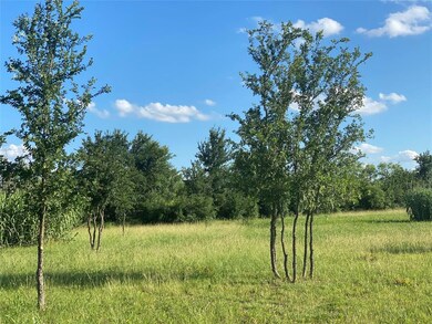 7270 Old Millsap Rd, Millsap, TX 76066 - photo 3