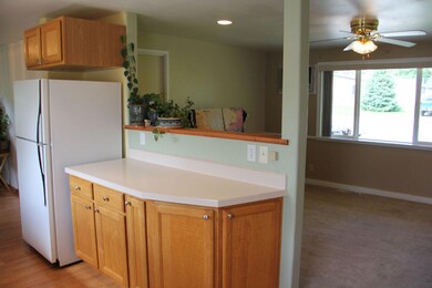 Kitchen View (3)