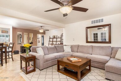 The Living Area
