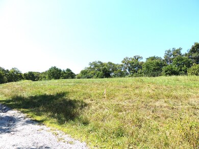 02 S Scruggs, Frankfort, KY 40601 - photo 3