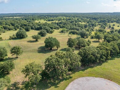 329 Arborview Dr, Weatherford, TX 76088 - photo 5