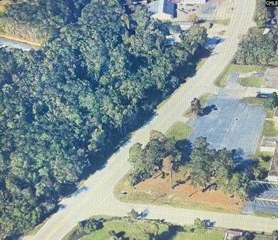 0 Charleston Hwy unit 614830, Orangeburg, SC 29115 - photo 5