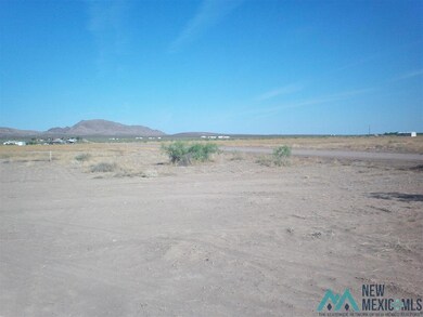 12910 Azul Rd SE, Deming, NM 88030 - photo 6