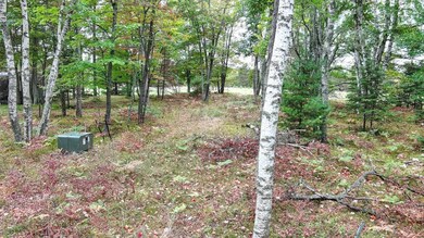 Lot A on Del Stengl Lake Rd, Stella, WI 54501 - photo 5