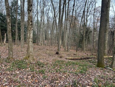 0 Miola Rd, Clarion, PA 16214 - photo 7