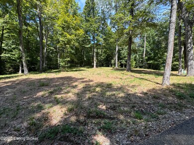 1193 Patriots Landing Ln, Falls of Rough, KY 40119 - photo 6