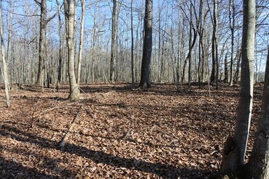 130 Johnny Bilbrey Ln, Cookeville, TN 38506 - photo 6