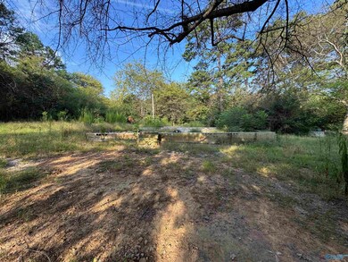 35 County Road 753, Piedmont, AL 36272 - photo 4