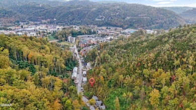 07-483 Baskins Creek Rd-08