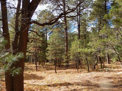 The Property