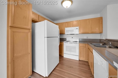 51616 Hale Ln unit 204, Chesterfield, MI 48051 - photo 4