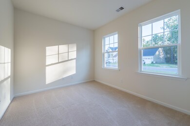 409 American Goldfinch Way, Moncks Corner, SC 29461 - photo 2