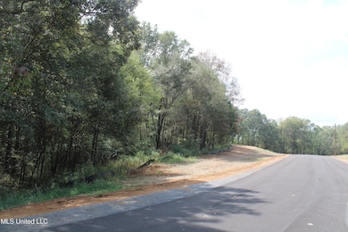 17 Old Barn Cove, Hernando, MS 38632 - photo 6