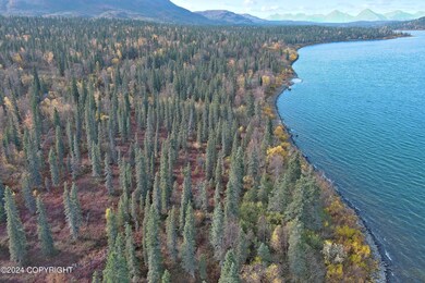 L1B4 Black Bear & Grizzly Rd, Aleknagik, AK 99555 - photo 6