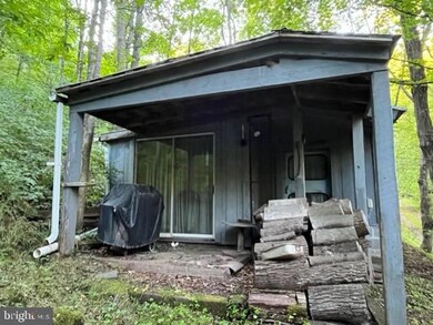 3307 Roaring Creek Rd, Seneca Rocks, WV 26884 - photo 4