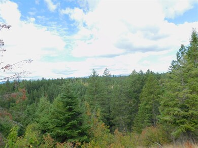 32701 Delaro Ranch Rd, Bigfork, MT 59911 - photo 7