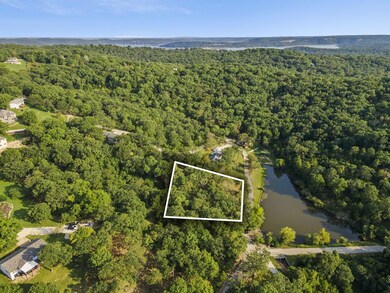 43 Irish Hills Blvd, Kimberling City, MO 65686 - photo 3