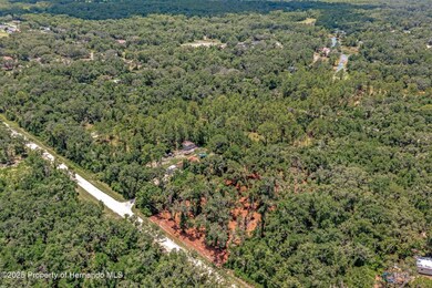 4-web-or-mls-DJI_0763