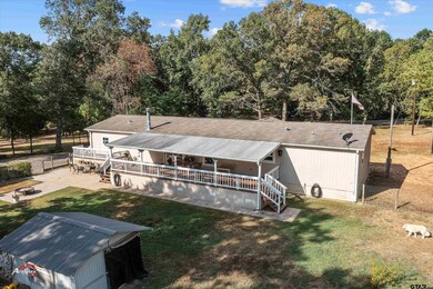 10137 County Road 3197, Arp, TX 75750 - photo 5