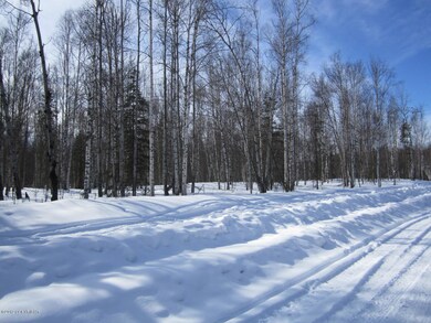 Two 5 Acre Parcels side by side