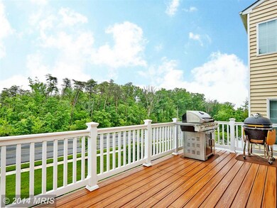 43598 White Cap Terrace, Chantilly, VA 20152 - photo 7