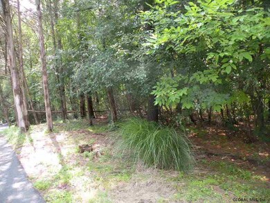 0 Tammy Trail unit 201924298, Coxsackie, NY 12051 - photo 5