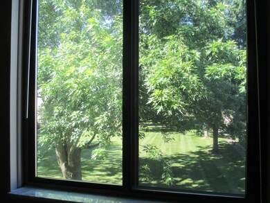 1st View from DR window
