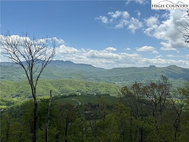 Potential long range views.