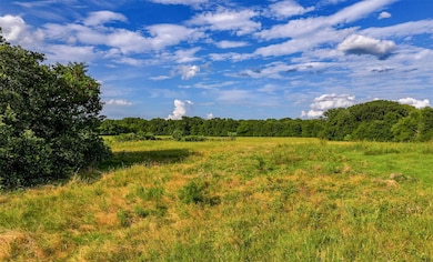 18575 County Road 4069, Kemp, TX 75143 - photo 3