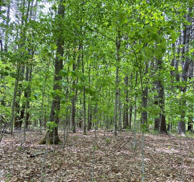 unlisted-address, Conway, MA 01341 - photo 5