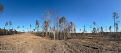 Cleared Ridge