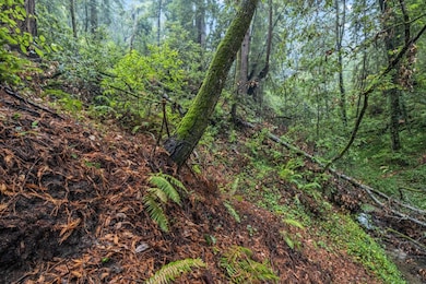 0 Cathedral Dr, Aptos, CA 95003 - photo 7