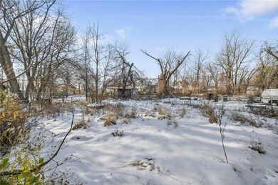14410 Darwin Ave, Cleveland, OH 44110 - photo 4