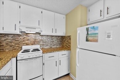 Golden Sands, Ocean City, MD 21842 - photo 5