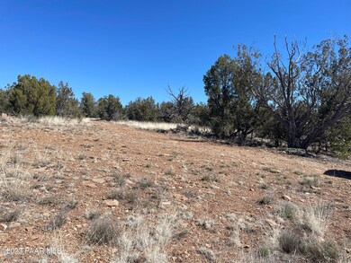 00 Stockmans Rd, Ash Fork, AZ 86320 - photo 5